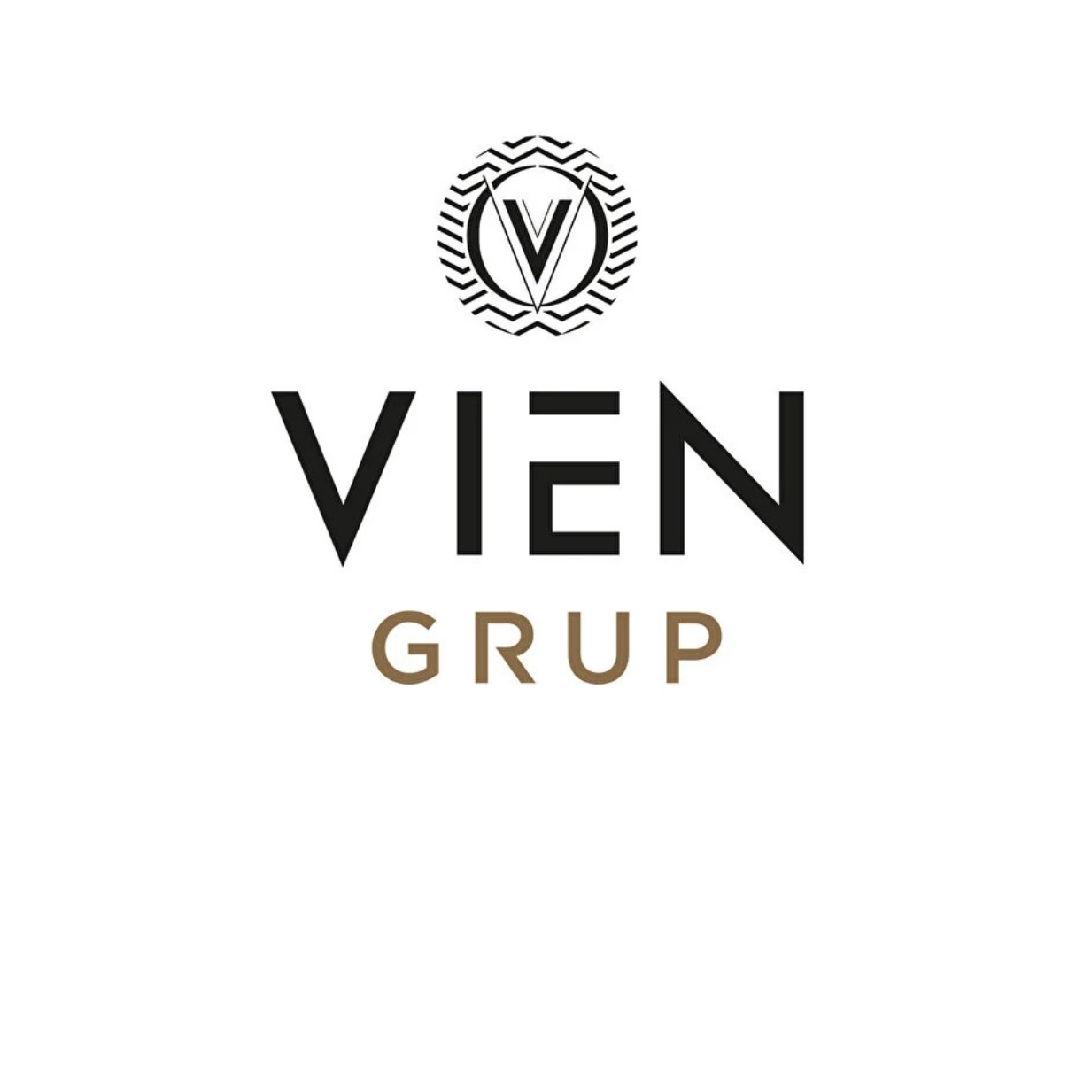 Vien Grup İnşaat A.Ş